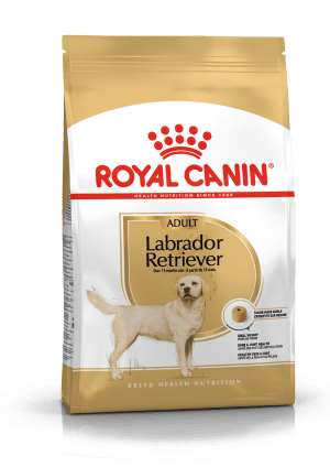 Royal Canin Labrador Retriever Adult Dry Food Dog 12kg