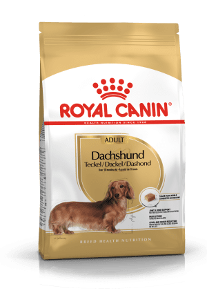 Royal Canin Dachshund Adult Dog Dry Food