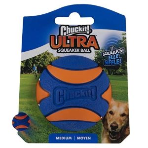 Chuckit Ultra Squeaker Ball Medium 6.5cm
