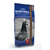 Pigeon Food Racing Breeding Resting