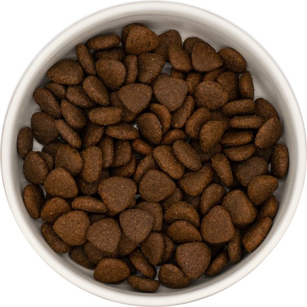 Dog Food Dry Dog Food Super Food