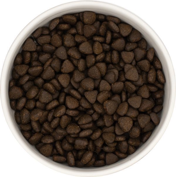 Dog Food Dry Dog Food Super Food