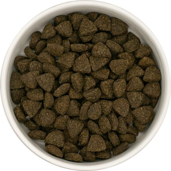 Dog Food Dry Dog Food Super Food