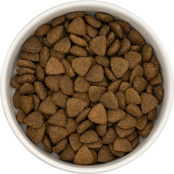 Dog Food Dry Dog Food Super Food