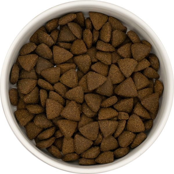 Dog Food Dry Dog Food Super Food