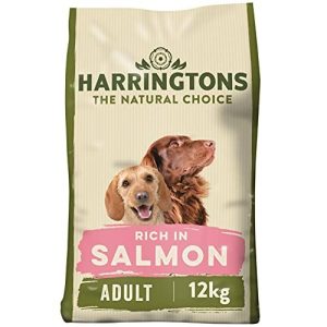 Dog Food Adult Food Salmon
