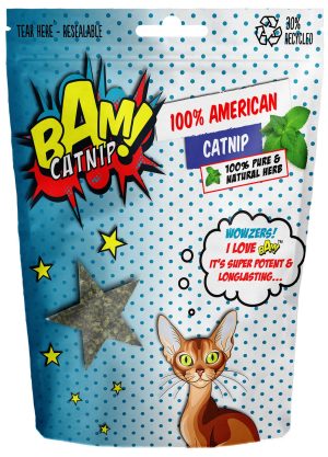 Cat Accessory Catnip Toy
