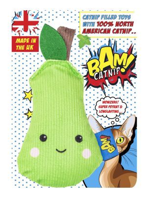 Cat Accessory Catnip Toy