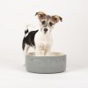 Dog Bowl Ceramic Food Bowl Water Bowl