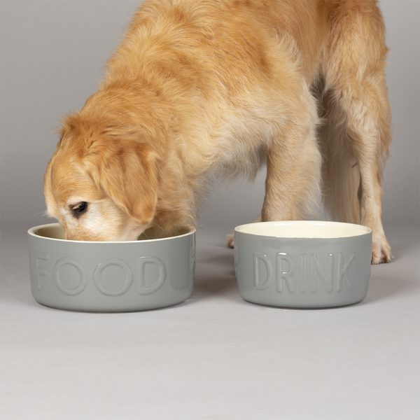 Dog Bowl Ceramic Food Bowl Water Bowl