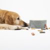Dog Bowl Ceramic Food Bowl Water Bowl