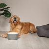 Dog Bowl Ceramic Food Bowl Water Bowl