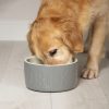 Dog Bowl Ceramic Food Bowl Water Bowl