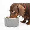 Dog Bowl Ceramic Food Bowl Water Bowl