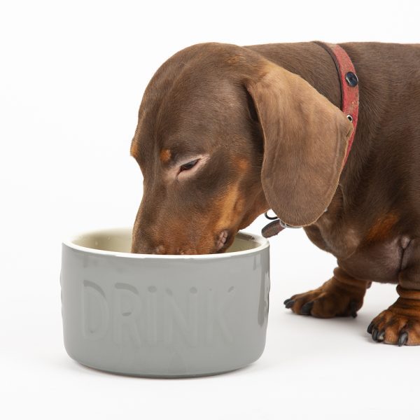Dog Bowl Ceramic Food Bowl Water Bowl
