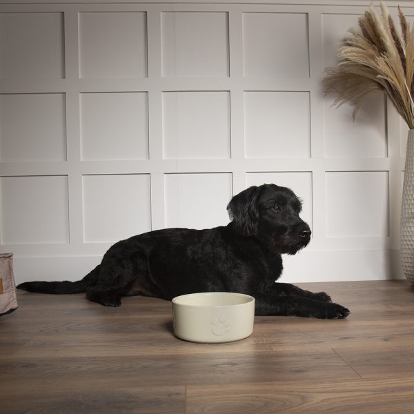 Dog Bowl Ceramic Food Bowl Water Bowl