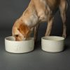 Dog Bowl Ceramic Food Bowl Water Bowl