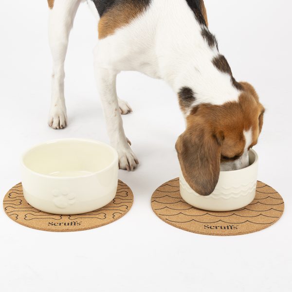 Dog Bowl Ceramic Food Bowl Water Bowl