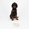 Dog Bowl Ceramic Food Bowl Water Bowl Slow Feed