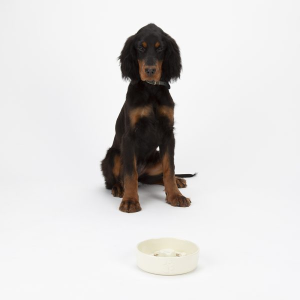 Dog Bowl Ceramic Food Bowl Water Bowl Slow Feed