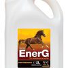 Horse Equine Supplement