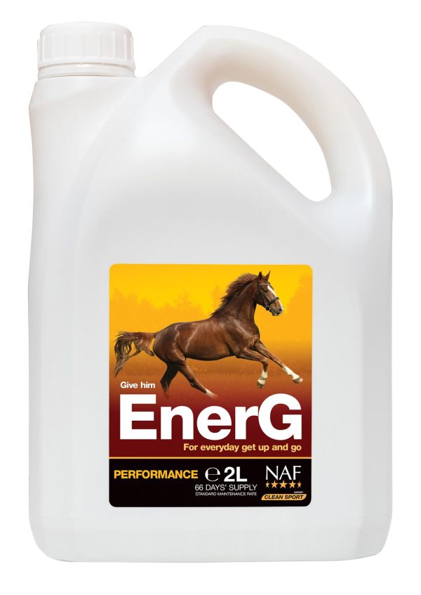 Horse Equine Supplement