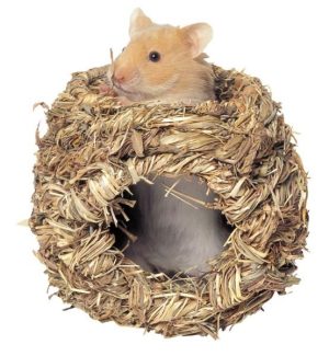 Small Animal Nest Willow Rope