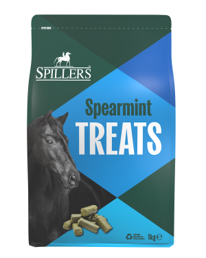 Spillers Spearmint Treats 1kg