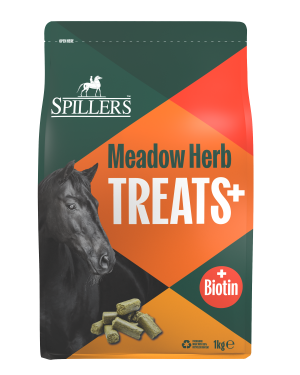 Spillers Herb & Biotin Treats 1Kg