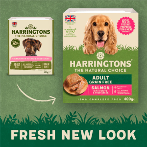 Harringtons Dog Tray Salmon & Potato 400g
