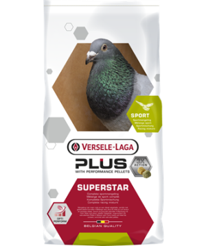 Versele-Laga Widow Superstar Plus