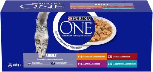 PURINA ONE Mini Fillets Mixed Selection in Gravy 40PK